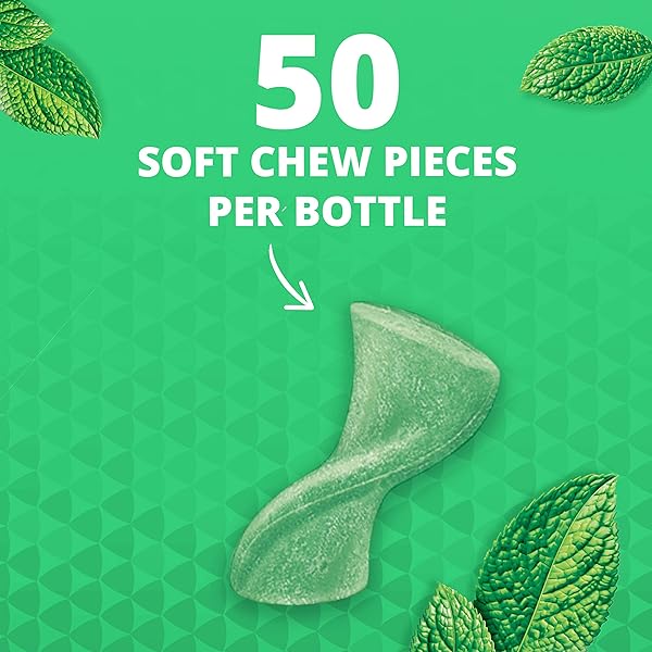 TRIDENT UNWRAPPED SPEARMINT SUGAR-FREE CHEWING GUM, 4 BOTTLES OF 50 PIECES (200 TOTAL PIECES)