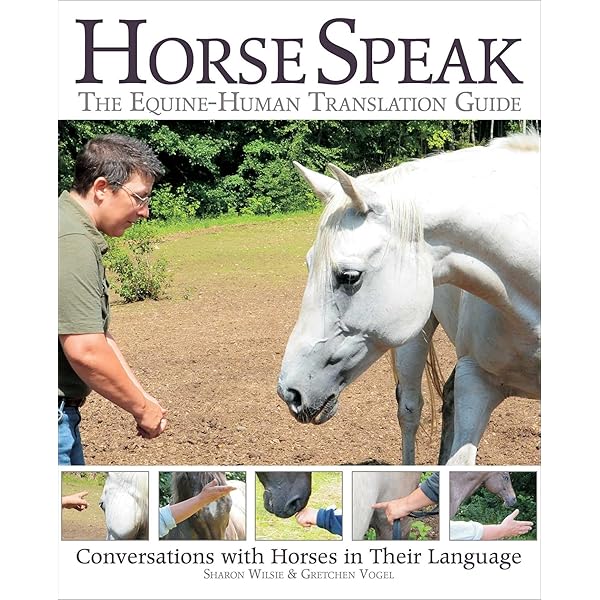馬のきもち HOW TO THINK LIKE A HORSE How to Think Like a Horse: The Essential Handbook for