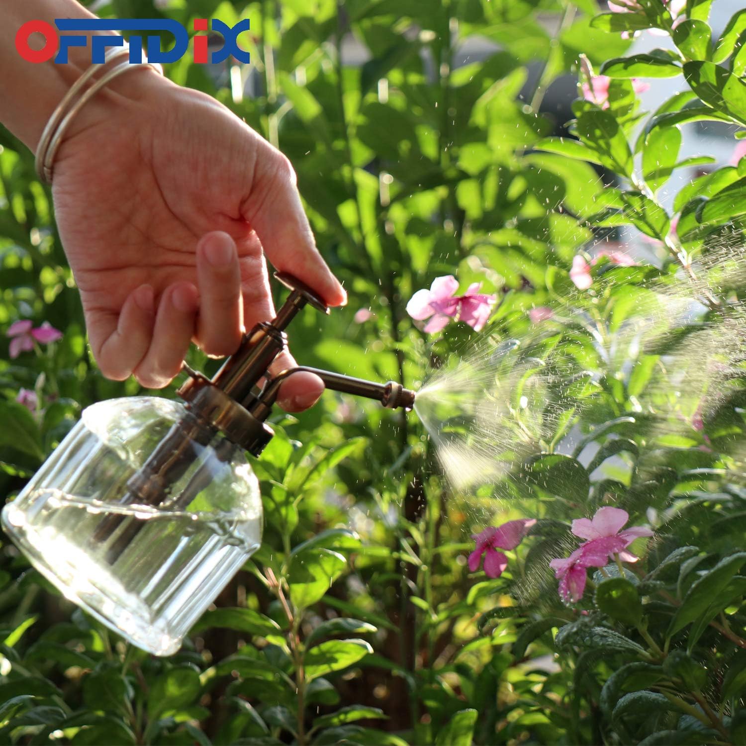 OFFIDIX Transparent Glass Watering Spray Bottle, Plant Mister with Plastic Bronze Plastic Top Pump, Glass Small Watering Can for Indoor Potted Plant, Outdoor Indoor Garden, Plants, Cleaning Solutions : Garden & Outdoor