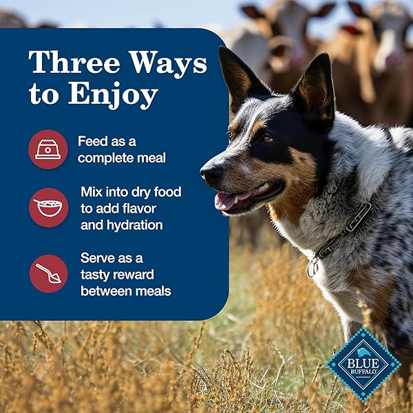 BLUE BUFFALO HOMESTYLE RECIPE NATURAL ADULT WET DOG FOOD, BEEF 12.5-OZ CAN (PACK OF 12)