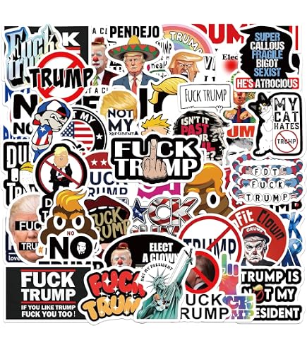 thumbnail image 2 of F Trump Ice Vinyl Stickers No Kings Anti Abolish Not My President Maga Boycott 2 of 11