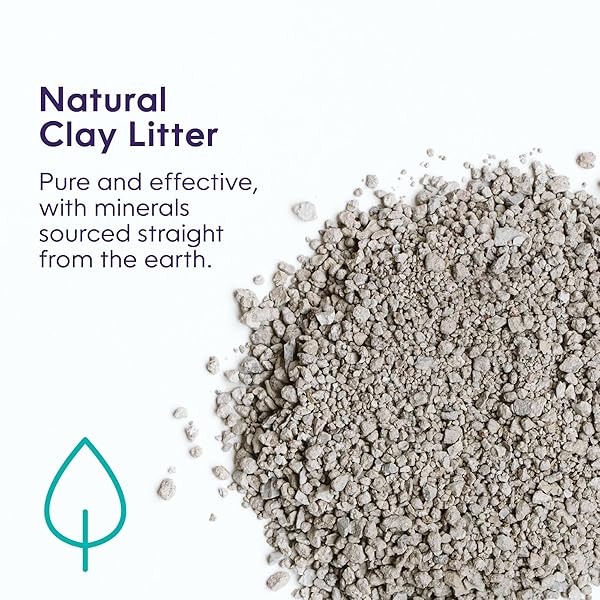 LITTER GENIE LIGHT UNSCENTED CLUMPING CAT LITTER, 18.5 LBS | LIGHTWEIGHT 20% LIGHTER NATURAL CLAY | FAST-CLUMPING, ODOR CONTROL, DUST-FREE