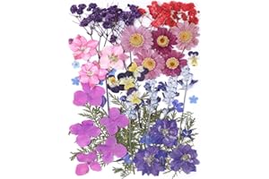 AHTONG 11 Types 46pcs Real Dried Pressed Flowers Leaf Plant Herbarium for DIY Resin Jewelry Making Floral Decors (Purple)