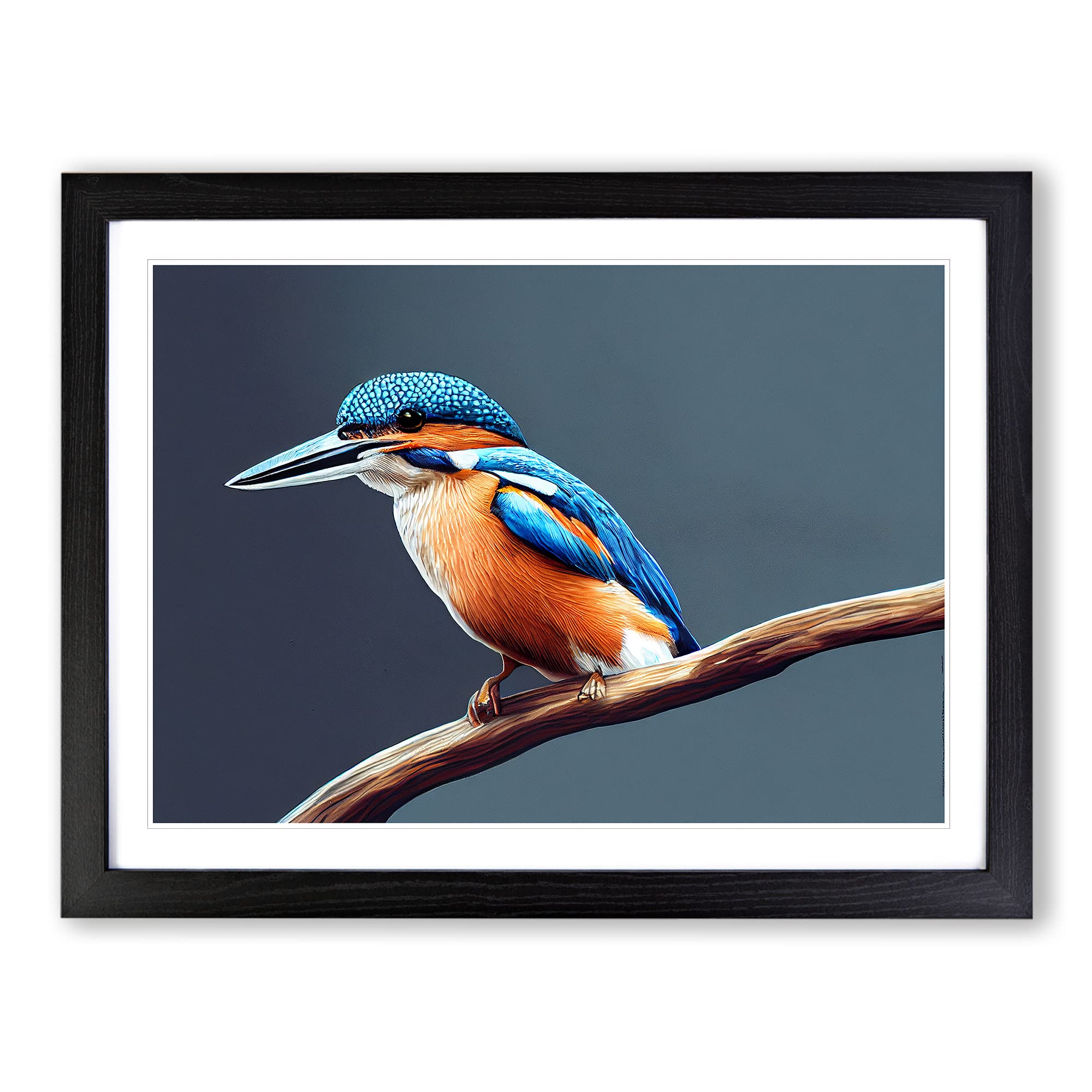 Gorgeous Kingfisher Bird Framed Print | A4 Black Framed Wall Art | Ready to Hang | Modern Nature Picture | Living Room Bedroom Lounge Office