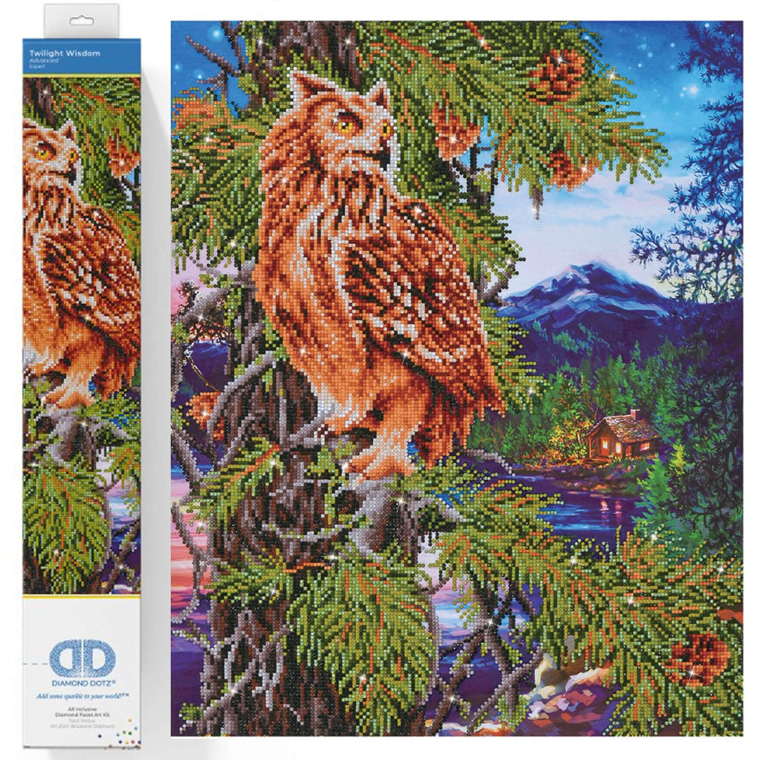 DIAMOND DOTZ Painting Kit: Twilight Wisdom, Assorted โ image 1