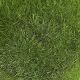 Zerodis 12Pcs Green Artificial Moss Balls for Terrarium Decor view 4