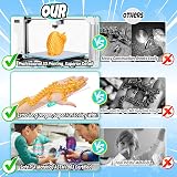 YILCER 12 inch Dragon 3D Printed Dragon Egg Safe Eco Fidget Toy Gold view 4