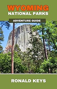 kindle best category lists