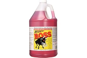 Zoom Cleaning PROD 21MB4 Gal Mighty Boss Cleaner