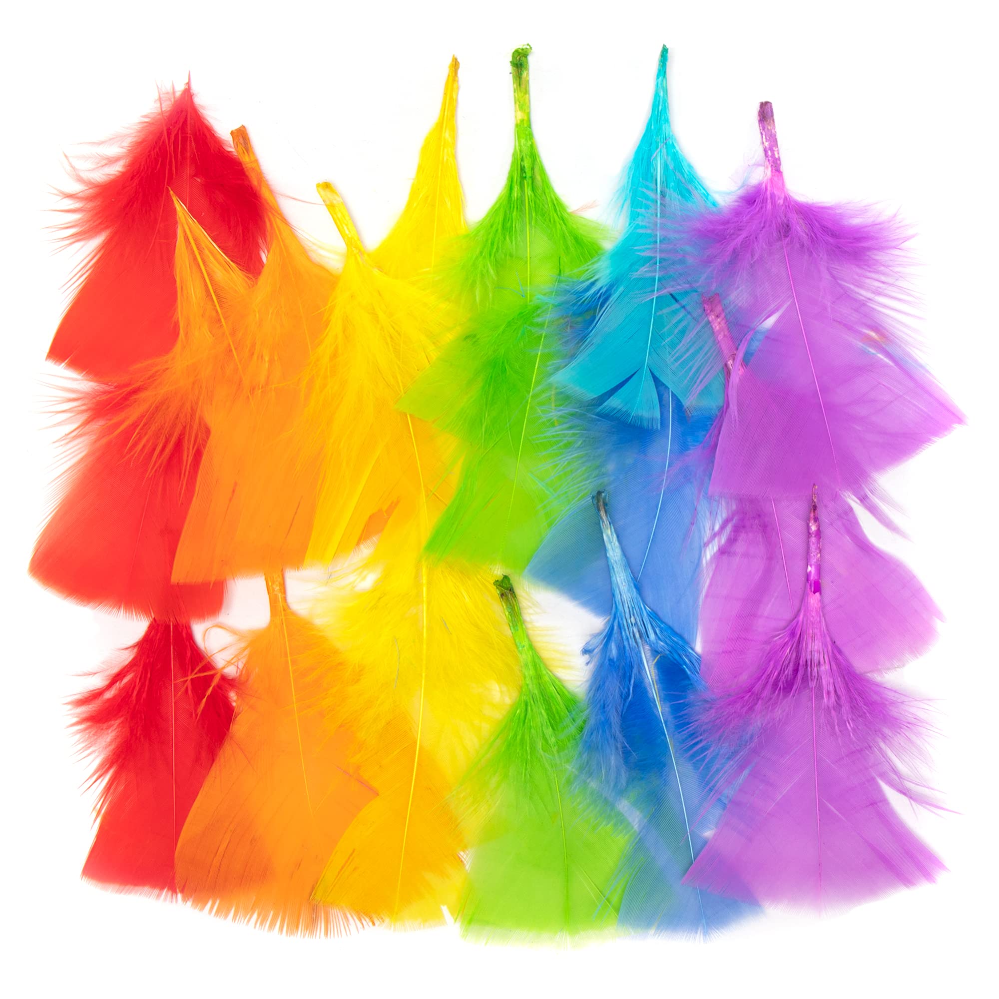 Baker Ross AX932 Rainbow Coloured Craft Feathers - Pack of 175, Art Decorations Ideal for Home, School and Group Projects