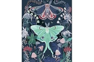 FILASLFT Paint by Number for Adults,Luna Moth Paint by Numbers for Adults Beginner,Butterfly Painting by Number Easy,Perfect for Office Home Wall Decoration 16x20 Inch.