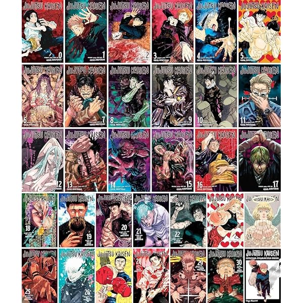 Amazon.com: My Hero Academia Box Set 2: Includes volumes 21-42