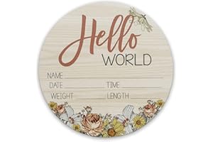 Birth Stat Sign for Newborn Baby, 6" Floral Design, Hello World, Gift for New Mom, Baby Shower, Gender Reveal, Crib & Nursery Decor, Pregnancy Announcement, Photography Prop, Hickory Hollow Designs