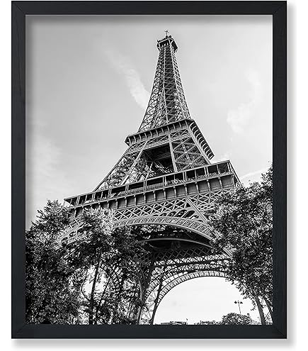 ARTTOR Poster Da Parete Póster Marco Negro 70x100cm Secos Flor Eco Moderno Cuadros Decorativo Cuadros Pared