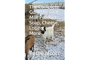 kindle best category lists