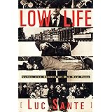 Low Life: Lures and Snares of Old New York