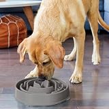 Outward Hound Slow Feeder Dog Bowl Large Grey - Promotes Healthy Digestion view 5