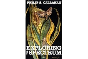 Exploring The Spectrum