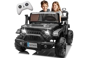 FILLFULFUN 24V 2 Seater Electric Ride on Car with Remote Control, 400W Motor, Battery Powered Large Truck Car w/ 20in Wide Seat, 3 Speeds, Lights, Bluetooth, Ride on Toys for Big Kids Age 3-8, Black