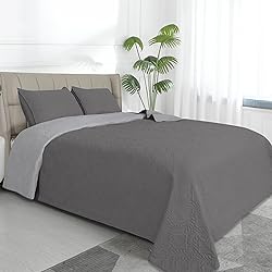 Easy-Going Twin Size Reversible Quilt Set with 1