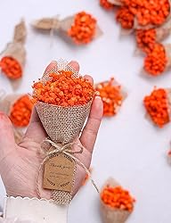 20-Piece Set Mini Magnet Dried Flowers Bouquet for