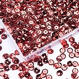 6mm Loose Sequins Bulk（5500 pcs,Embroidery Craft