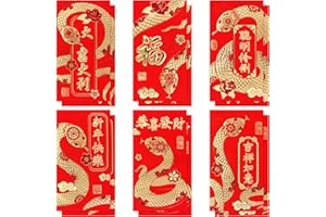 EVERMARKET Chinese Red Envelopes 2025,Chinese New Year Red Envelope Large Lucky Money Envelopes Lunar Snake Year Envelope Red Packets Gold Foil Hong Bao for Cash,6 Patterns 12 Pcs