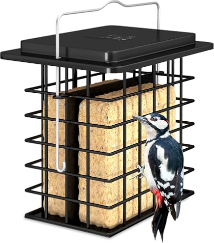 Mangeoire à Suif Suspendue Métal Anti-écureuils - Support Blocs De Graisse, Résistante Intempéries, Pour Jardin