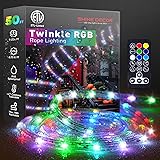 Shine Decor RGB Rope Light Twinkle, Remote Control