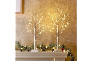 PEIDUO Christmas Decorations Indoor, 2 FT Birch Tree with Timer, Fairy Light Spirit Tree for Christmas Decor, Lighted Christm