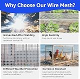 PICK FOR LIFE Galvanized Hardware Cloth 6Mx30cm 7x7mm Mesh Garden Fence Roll view 5