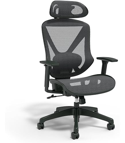 Amazon.com: Staples Dexley Ergonomic Task Chair, Mesh, Ergonomic