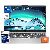 HP 15.6 Touchscreen Business Laptop, 15.6" FHD Touch Display, Intel 13th Gen i7-1355U, 64 GB DDR4 RAM, 2 TB SSD, Iris Xe Graphics, Fast Charge, Windows 11 Pro