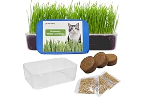 PLANTMEW Cat Grass Seeds - Indoor Cat Grass Kit- Fast-Growing in 7 Days - Promotes Digestive Health, Treats Hairballs - 100% Non-GMO Heirloom Wheat Seeds - Includes Soil and BPA-Free Containers