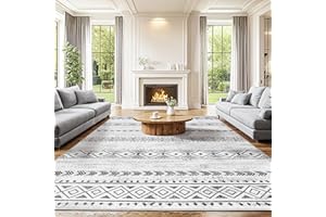 Shilucheng 8x10 Rug for Living Room Modern Machine Washable Large Non-Slip Area Rug Clearance,Bedroom Carpet Rug Low-Pile Kid