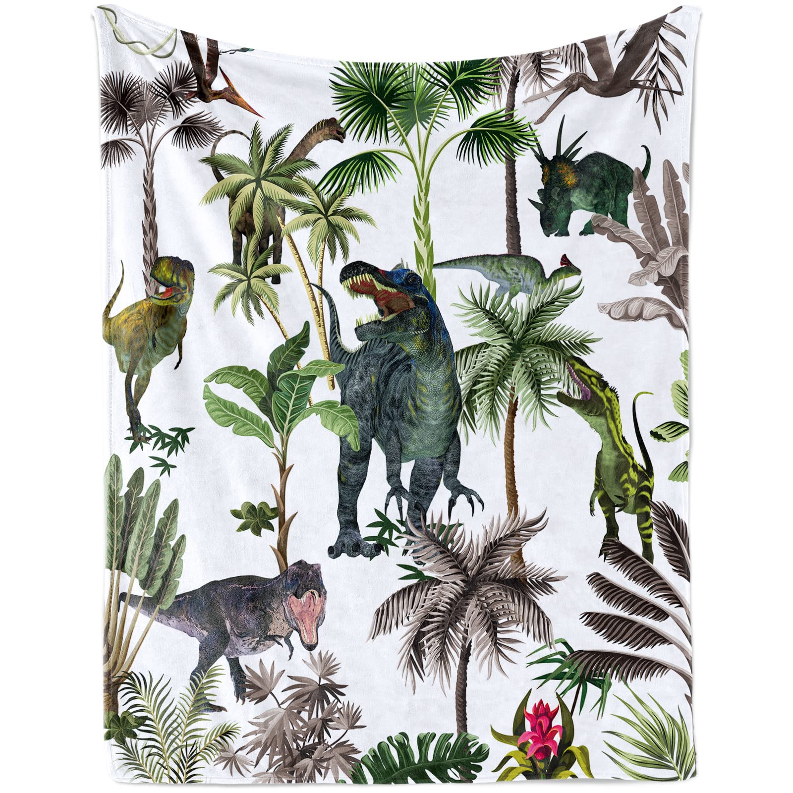 Dinosaur Blanket for Boys, Soft Jurassic Dinosaur World Park Plush Flannel Blanket for Nursery Baby Crib, Cozy Warm Dinosaur Fluffy Throw Blanket Gift with Jungle Dino Print for Newborn and Toddler