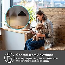 Kasa Matter Smart Light Switch: Voice Control