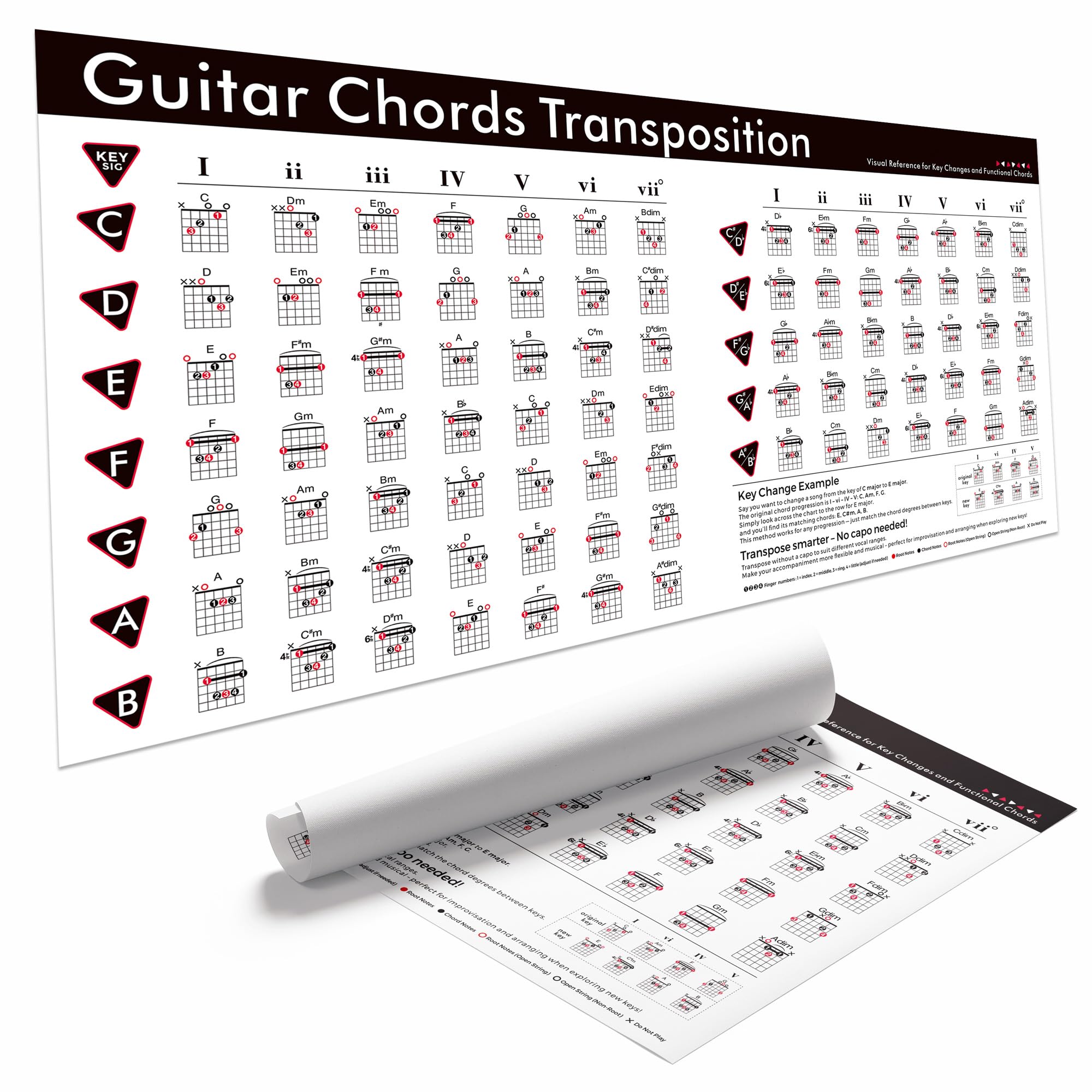 TiMitA Guitar Chord Transposition Chart Poster, Functional Chords & Progressions Reference, Guitar Guide to Key Changes, Easy Song Transpose Learning Poster for Beginners 18x36 Inch