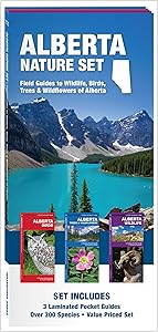 kindle best category lists