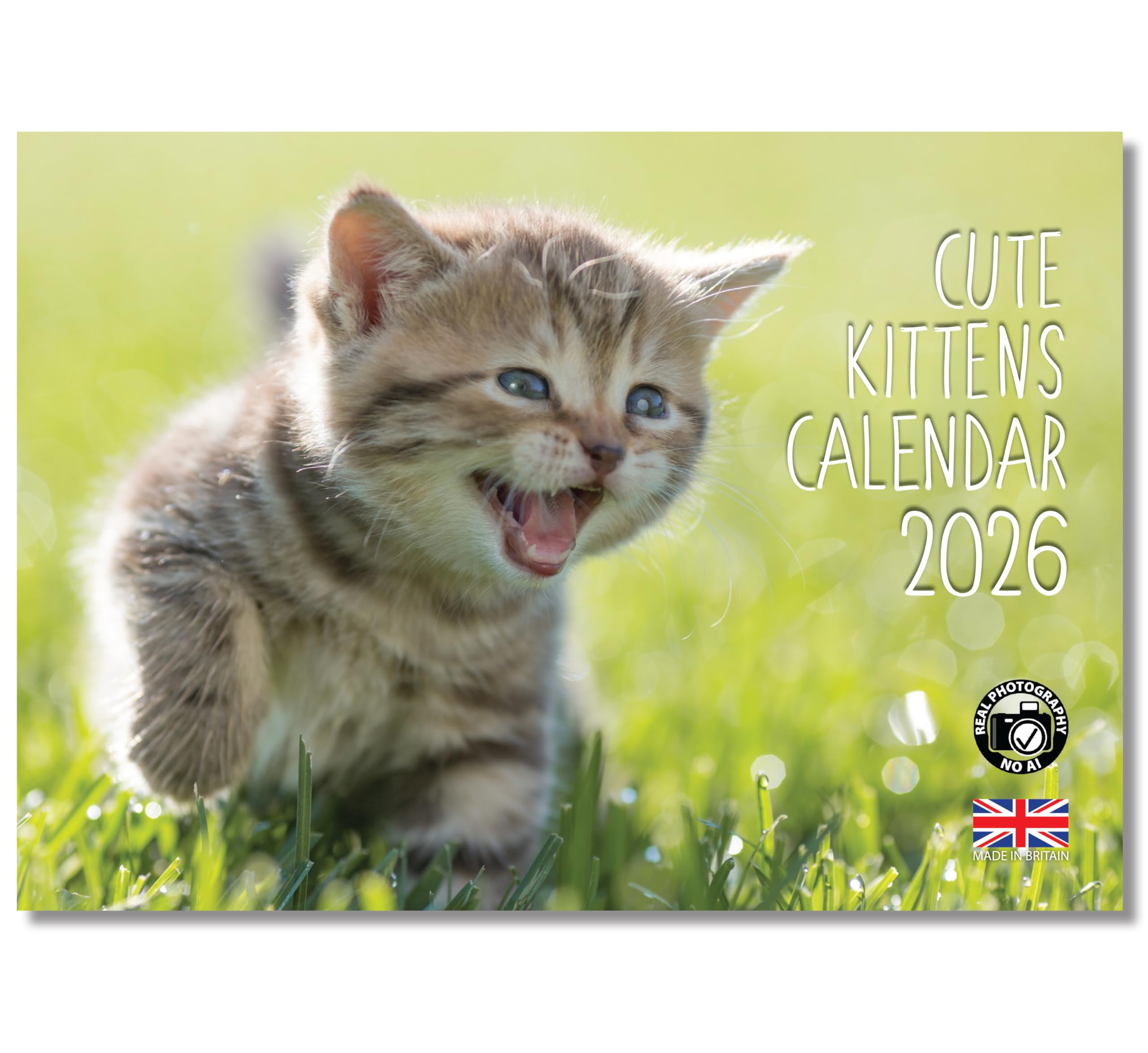 2026 A4 Calendar Cute Kittens. Cat Calendar 2026 cats. One Month to View. A3 when open. Wall Calendar by Absolutely Yours.