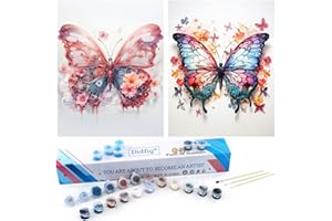Didfig Easy DIY Paint by Numbers Kit for Adults Beginner Canvas Colorful Butterfly Paint by Number Kits Small Scenery 2 Pack for Home Wall Decor Gifts 12x16 Inch