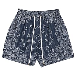 DIOTSR Mens Paisley Graphic Shorts Casual