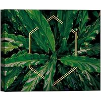 SIGNWIN Canvas Wall Art Tropical Green Fern Leaves Foliage with Gold Hexagon Botanical Plants Digital Art Modern Art Beach Closeup Relax/Calm for Living Room, Bedroom, Office - 12x18 inches