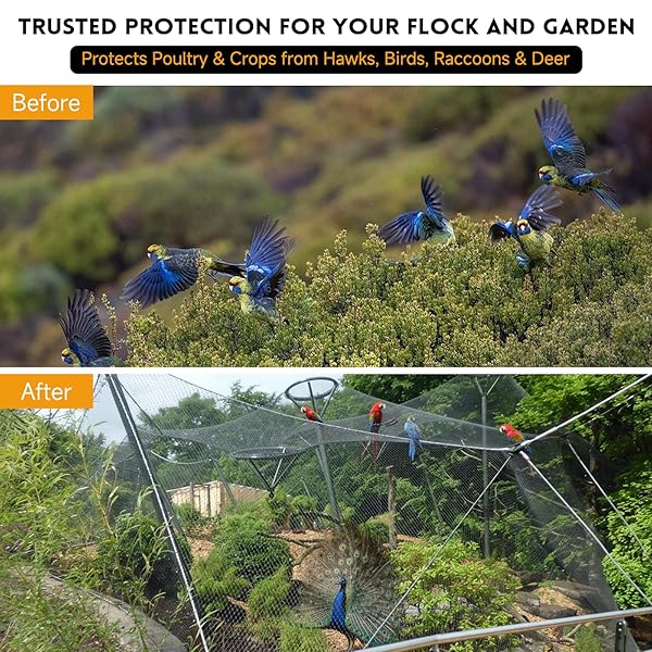 HEAVY DUTY AVIARY NETTING 25X50 FT, 1″ MESH REINFORCED HDPE POULTRY NETTING, ANTI-TANGLE BIRD NETTING FOR CHICKEN COOP, HAWK DETERRENT FOR CHICKENS, GARDEN & CROP PROTECTION