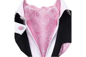 Dubulle Paisley Floral Ascot Tie for Men Self Tie Mens Cravat Tie and Pocket Square Cufflinks Wedding
