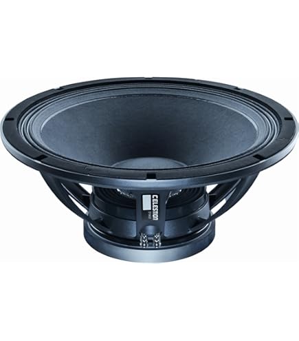 Amazon.com: Celestion FTR18-4080HDX FTR Series 18-Inch 600-Watt