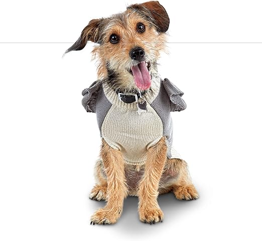 bond & co dog jacket