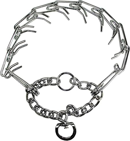 easiest lizard to keep