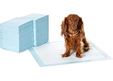 Amazon Basics Dog and Puppy Pee Pads with Leak-Proof Quick-Dry Design for Potty Training, Standard Absorbency, Regular Size,