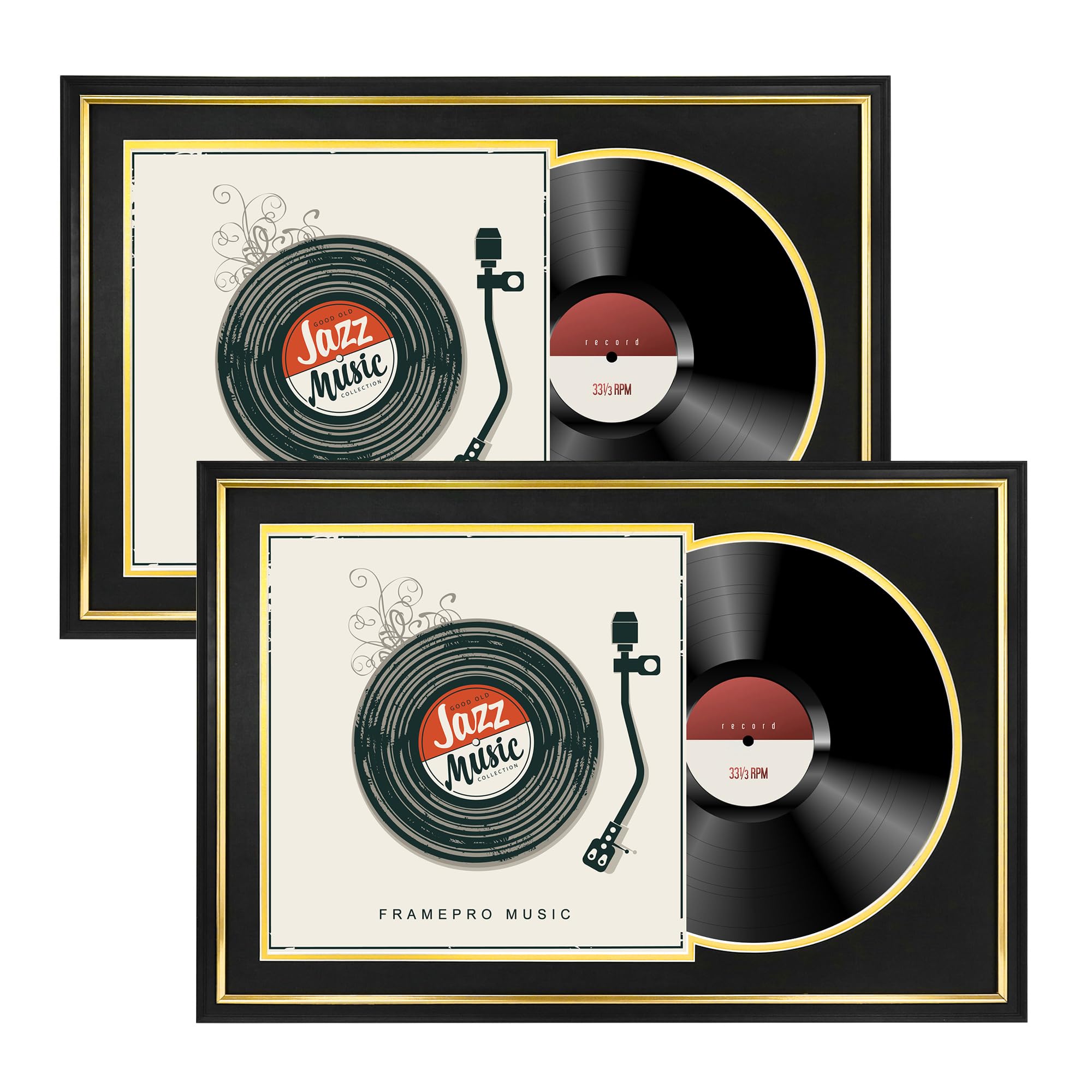 FramePro Vinyl Record Frame with 2 Double Sided